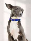 Load image into Gallery viewer, BLUEBERRY SIGNATURE COLLAR
