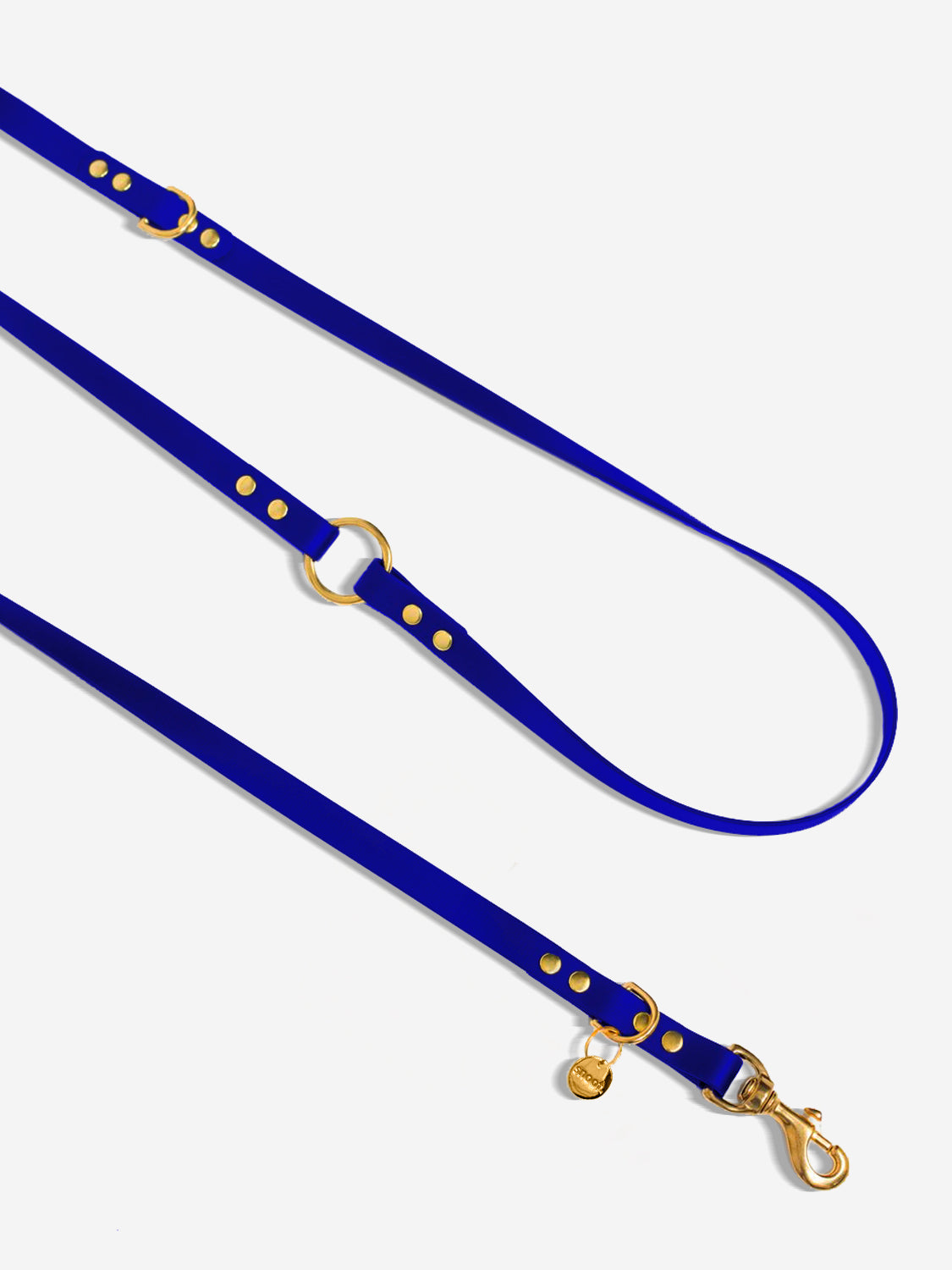 BLUEBERRY SIGNATURE LEASH