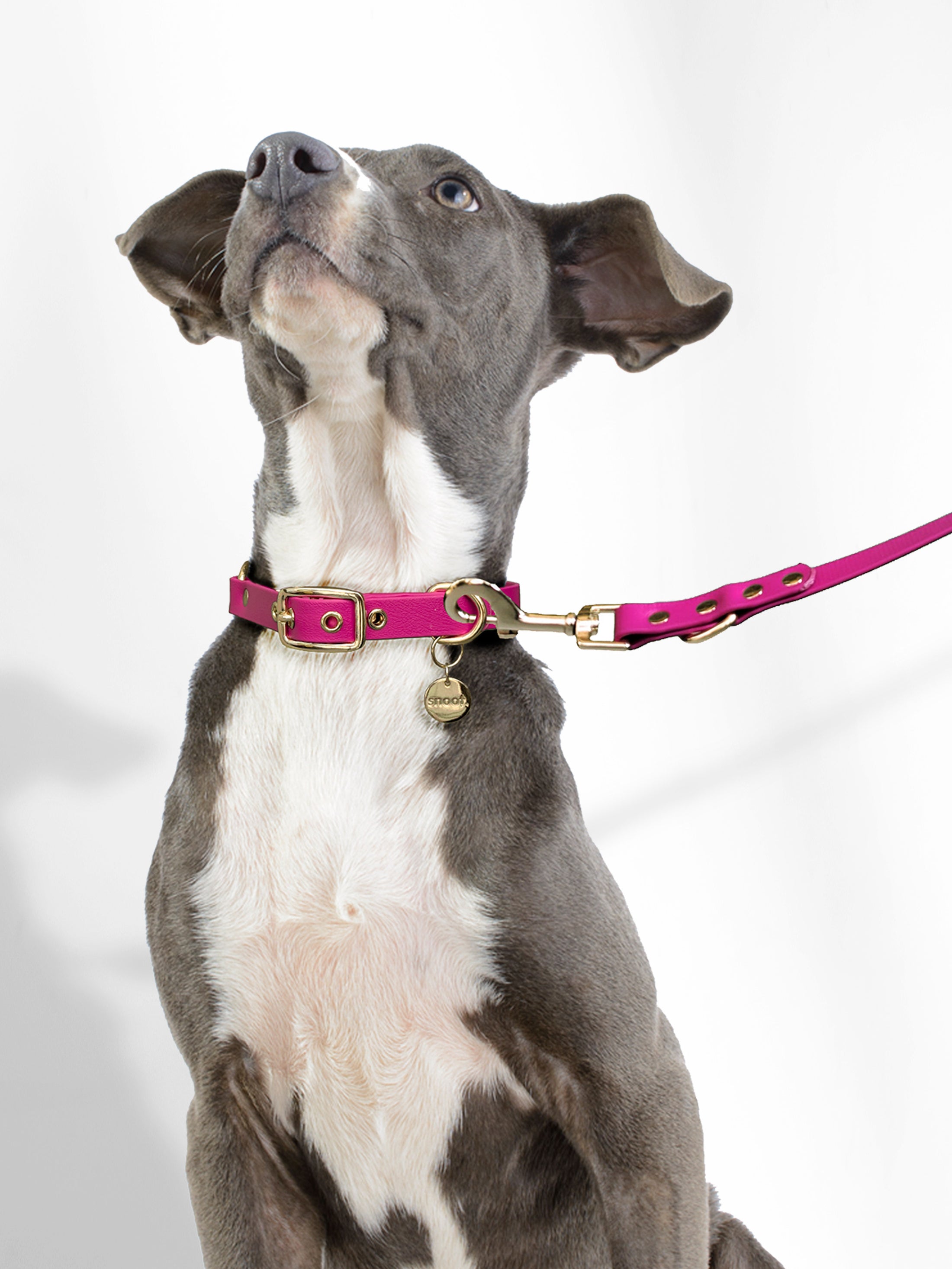 MAGENTA PINK SIGNATURE LEASH