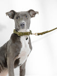 Load image into Gallery viewer, OLIVE SIGNATURE LEASH
