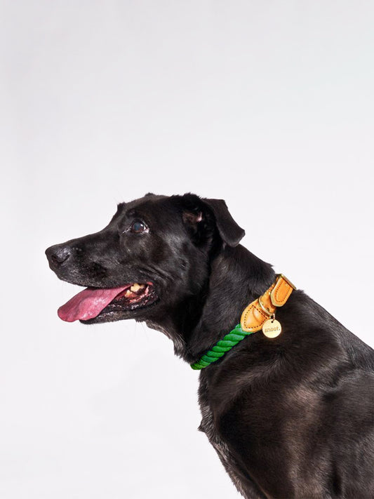 GREEN ROPE COLLAR