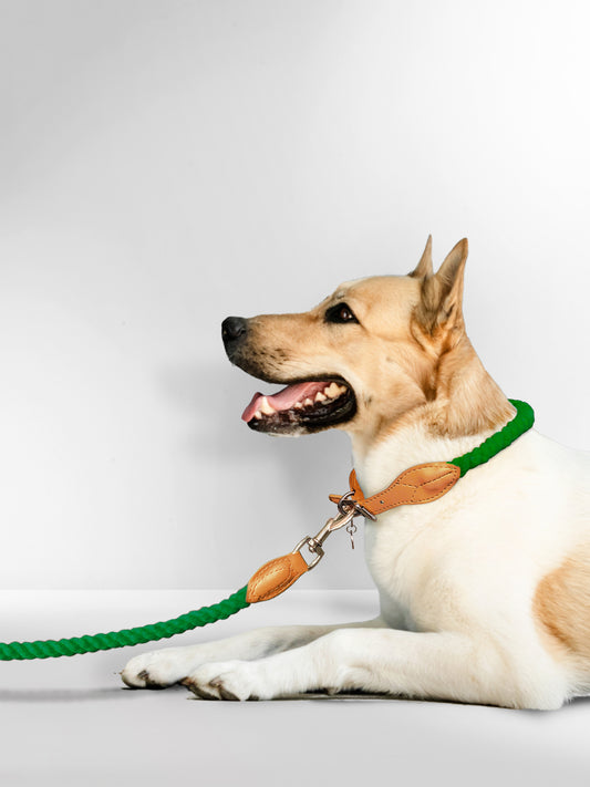 GREEN ROPE LEASH