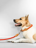 Load image into Gallery viewer, ORANGE ROPE LEASH
