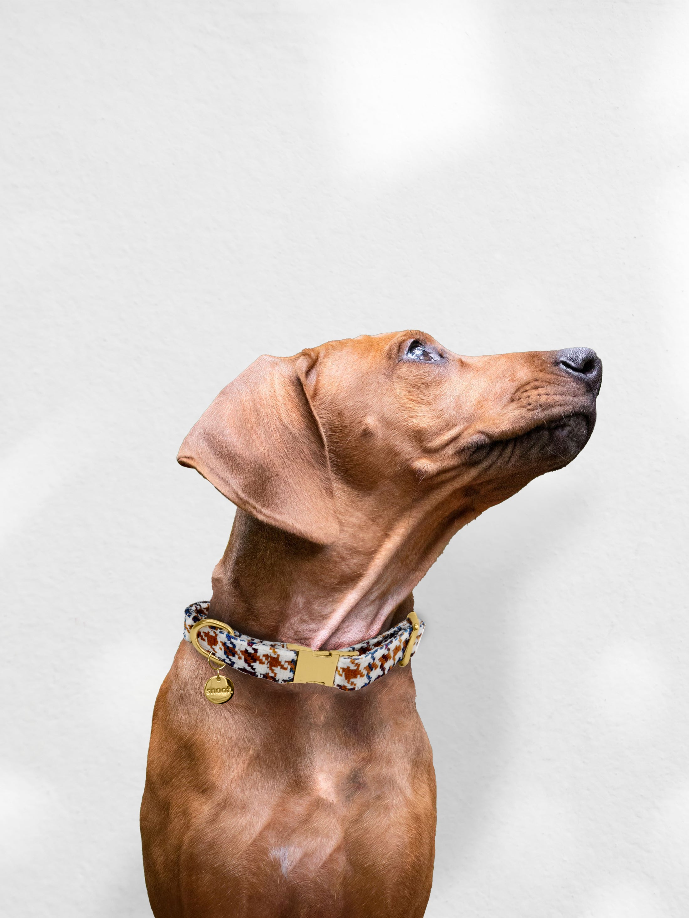 WHITE PATTERN TWEED COLLAR