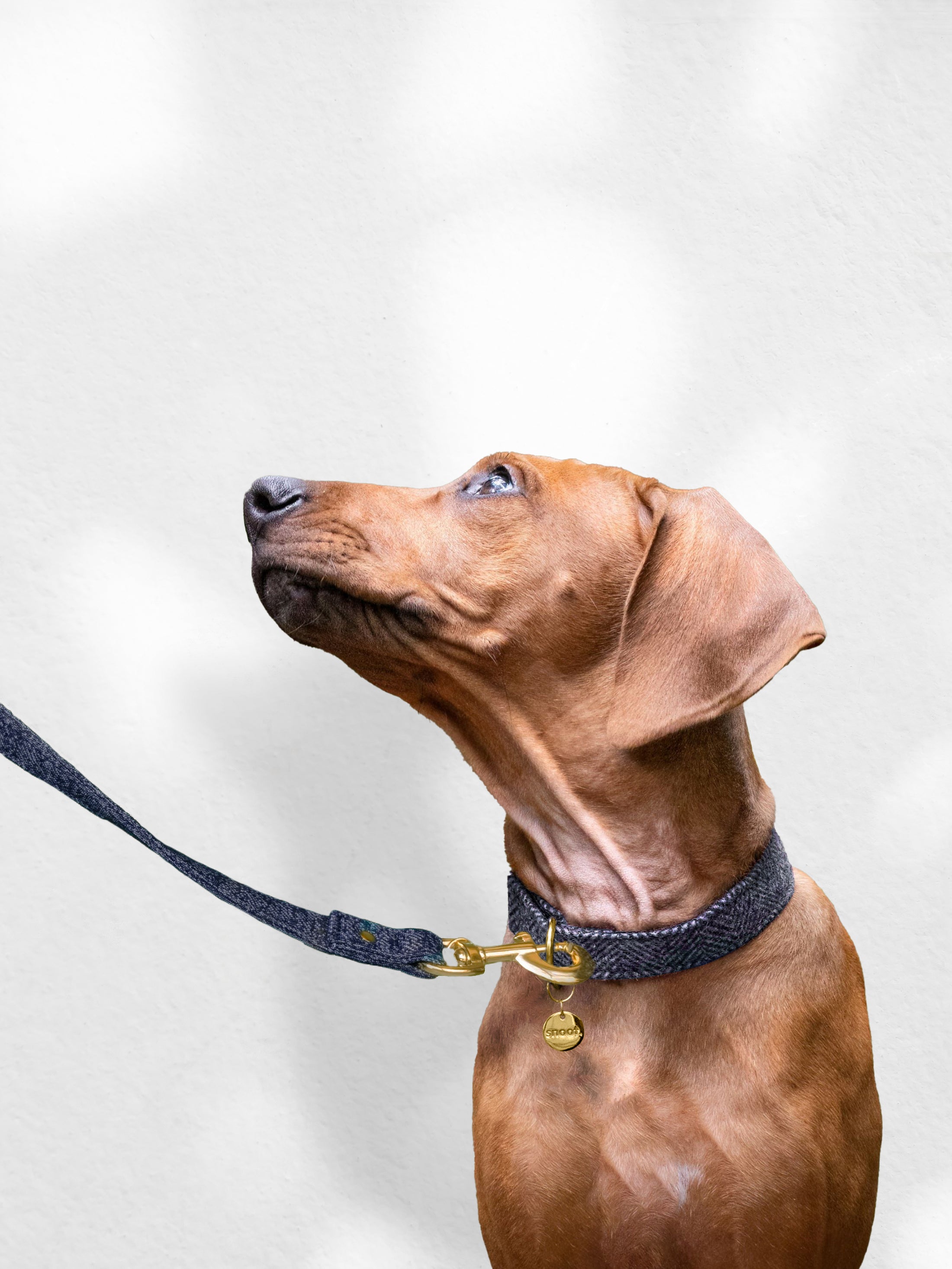 NAVY TWEED LEASH