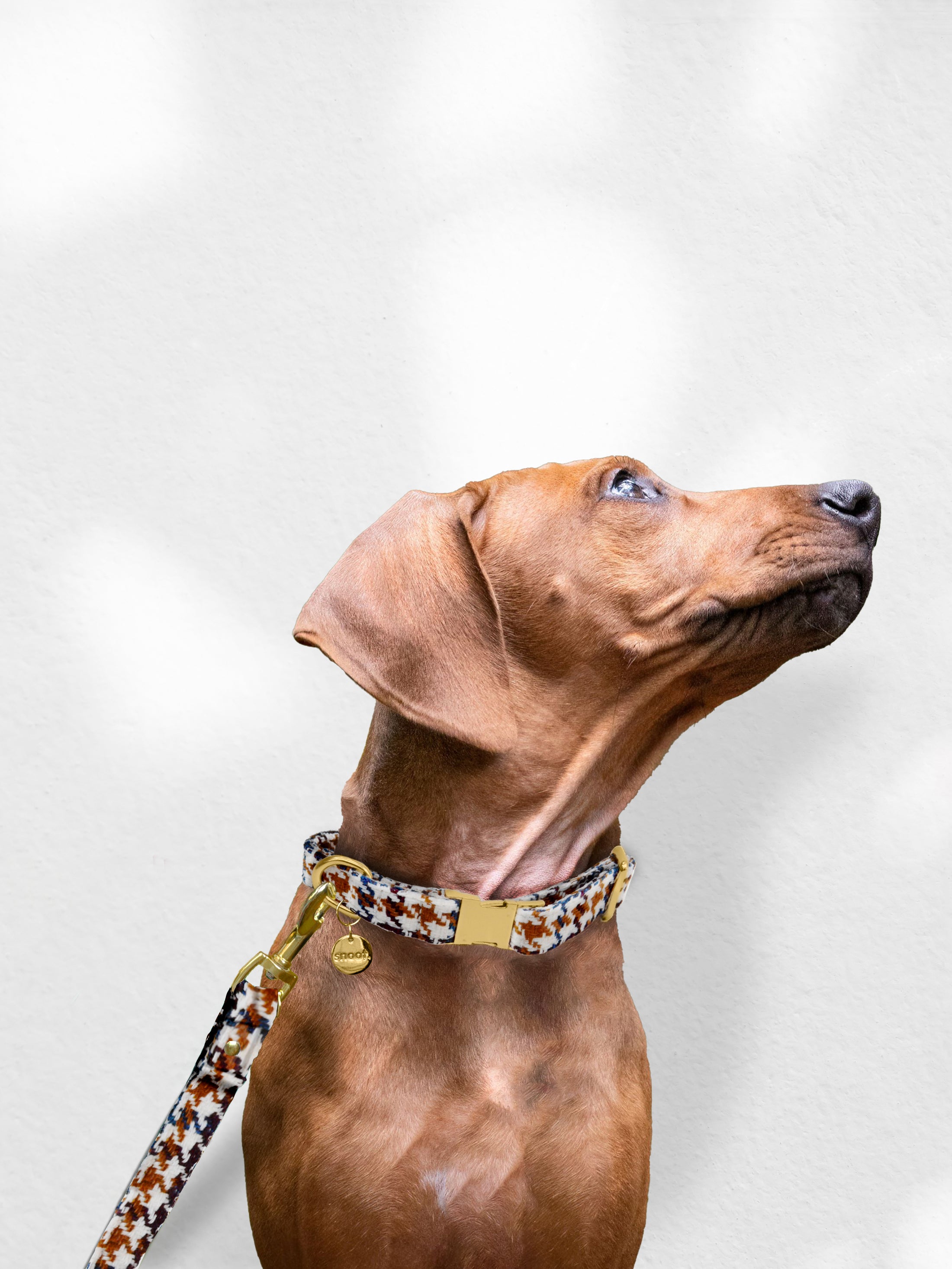 WHITE PATTERN TWEED LEASH